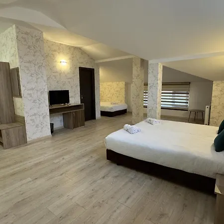 семеен бонжур 酒店 帕纳久里什泰